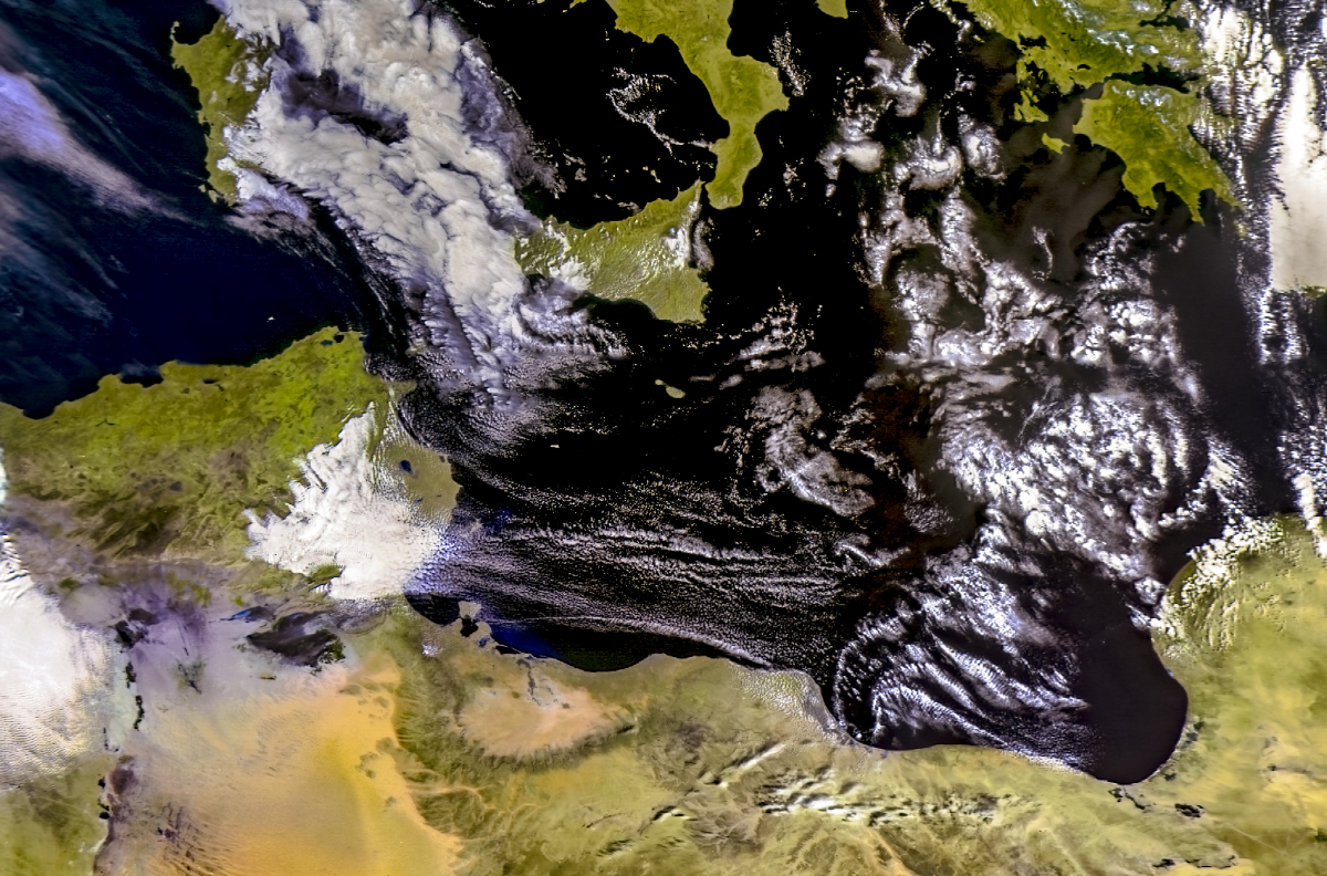 3.25 M23 msu mr Natural Color d1